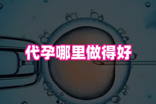 杭州助孕网 1