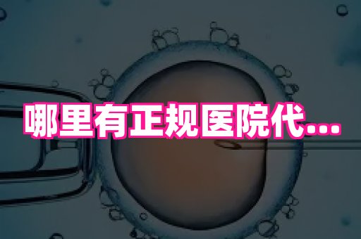 杭州助孕网 1