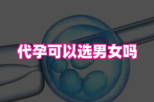 杭州助孕网 3