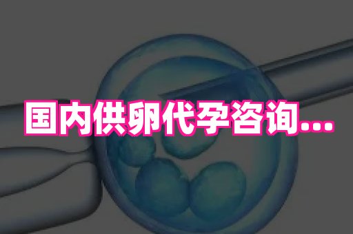 杭州助孕网 3