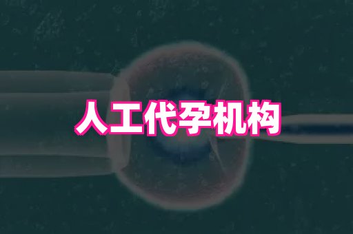 杭州助孕网 4